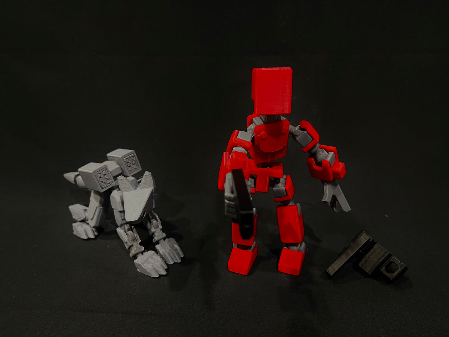 Pax and K9 filament print